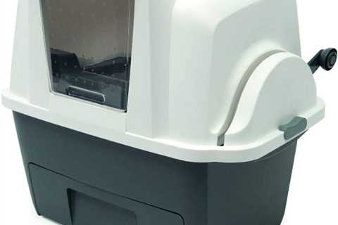Catit Smartsift: A Purr-fect Litter Box Review