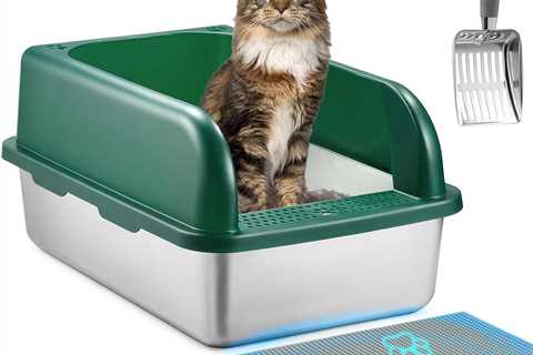 Stainless Steel Cat Litter Box Review: A Feline Game-Changer