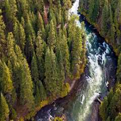 Restoring Nature: Key Initiatives for Habitat Preservation in Central Oregon