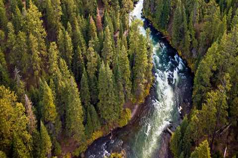 Restoring Nature: Key Initiatives for Habitat Preservation in Central Oregon