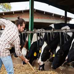 Effective Marketing Strategies for Livestock Products in Modern Agriculture