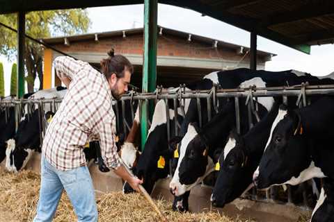 Effective Marketing Strategies for Livestock Products in Modern Agriculture